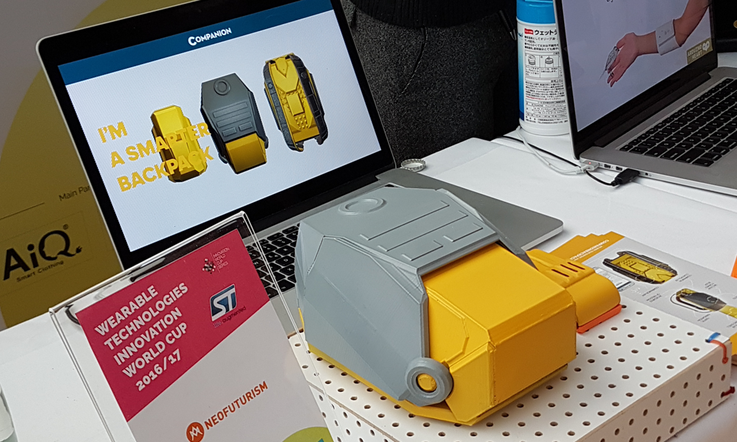 Companion prototype detail